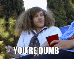 You Are Dumb Blake Anderson GIF