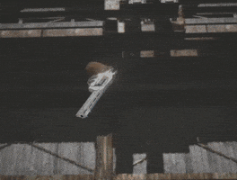 Resident Evil Zero GIF