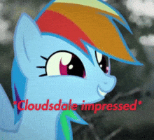Mlp Memes GIF