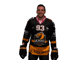FOULARD FAN DE HOCKEY SUR GLACE ZSC LIONS SWISS SWITZERLAND