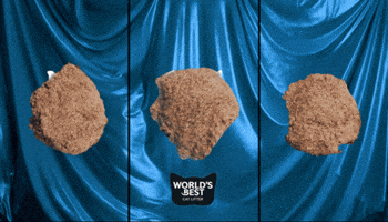 Catlove Worldsbest GIF by Worlds Best Cat Litter