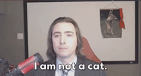 Just Some Gifs Of That Lawyer Who Showed Up To Court As A Cat By Giphy News Giphy