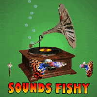 Smells Fishy Record Player GIF