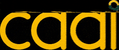 caai.cc GIF