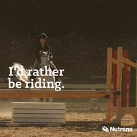 Horses Horse Jumping GIF by Nutrena Feed Horses Horse Jumping GIF by Nutrena Feed