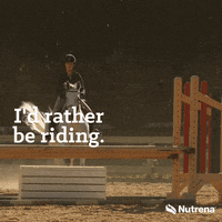 Horses Horse Jumping GIF by Nutrena Feed