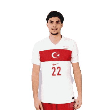 Ay Yildiz Millitakim Sticker by Kaan Ayhan