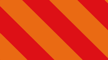 Carnaval Brabant GIF by Citygin