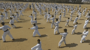 taekwondo combat GIF by BFMTV