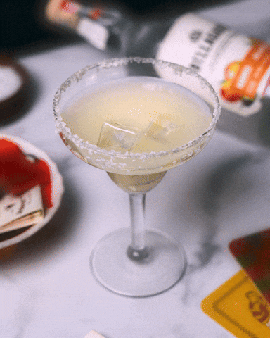 Bellagave Tequila GIF
