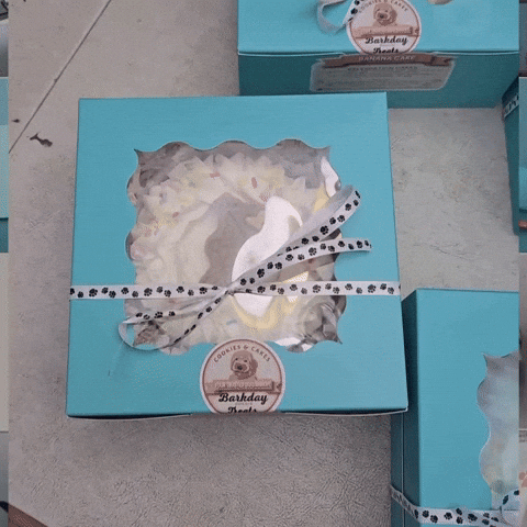 Barkday Treats GIF