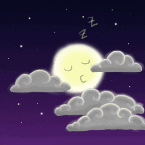 Night Sleep GIF by good-night