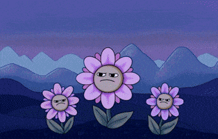 Good Morning Smile GIF by Holler Studios
