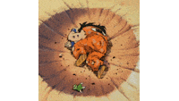 dragon ball z japan GIF