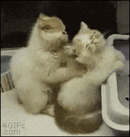 massage GIF