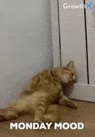 Monday Morning Cat GIF by GrowthX
