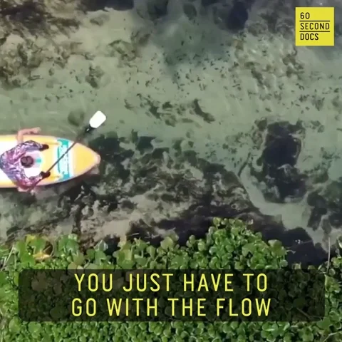 Mental Health Water GIF