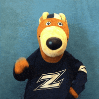 Gozips GIF by The University of Akron