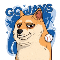 Shiba Inu Dog GIF by Doge Pound