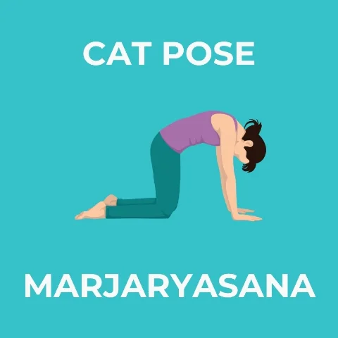 Yoga Class Pilates GIF