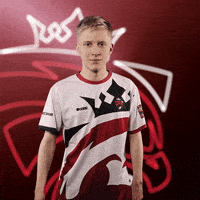 Face Facepalm GIF by Austrian Force eSports