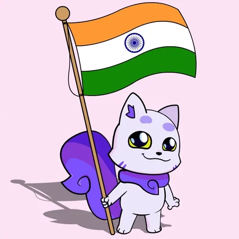 New Delhi India GIF