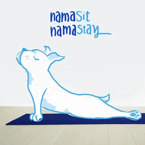 dog love GIF