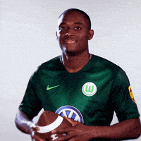 france football GIF by VfL Wolfsburg