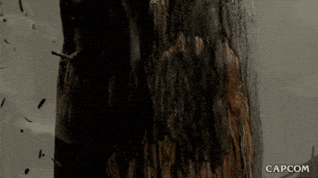 Video Game Loop GIF by CAPCOM