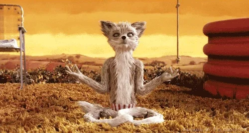Wes Anderson Peace GIF