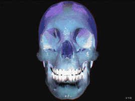 Dia De Los Muertos Animation GIF by Uwe Heine Debrodt