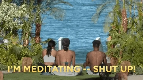 Meditating Fox Tv GIF