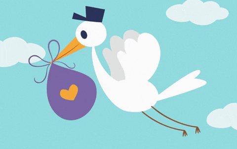 Baby Stork GIF by evite