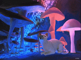 Cat Animation GIF by Uwe Heine Debrodt