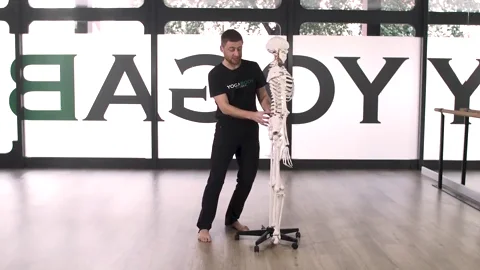 Yoga Skeleton GIF