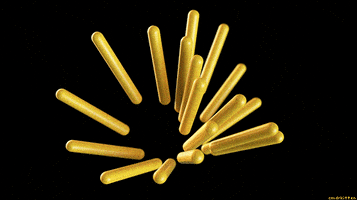 Infinite Loop Art GIF by CmdrKitten