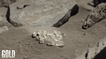 Screen Media Films GIF