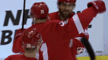 ice hockey GIF by NHL