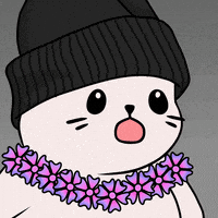 Happy Fun GIF by Sappy Seals Community