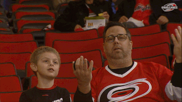 hockey what GIF by Carolina Hurricanes
