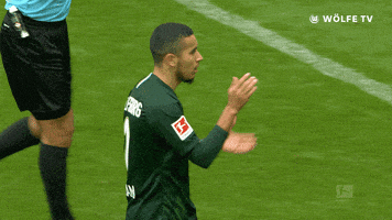 academy awards good job GIF by VfL Wolfsburg