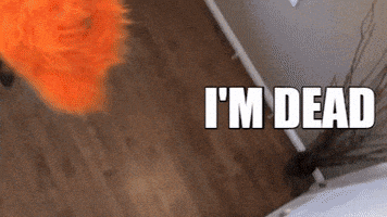 Too Much Lol GIF by Fluffy Friends