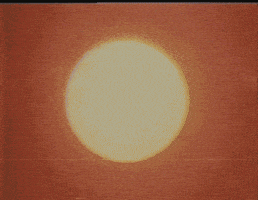 carl sagan sun GIF by rotomangler