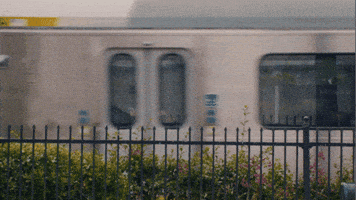 Romantic Comedy Love GIF by Will Linley