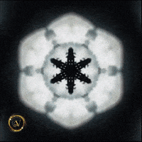 Happy Halloween GIF by Vicktorious