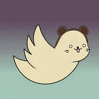 Fun Flying GIF by Sappy Seals Community