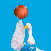 March Madness Win GIF by Aflac Duck