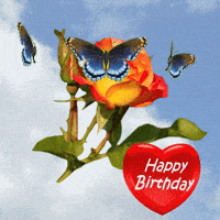 Happy Birthday GIF