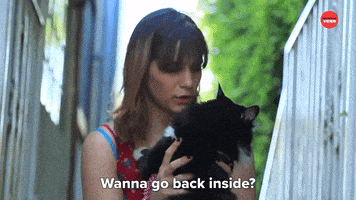 International Cat Day GIF by BuzzFeed