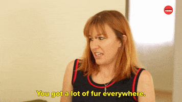 International Cat Day Cats GIF by BuzzFeed